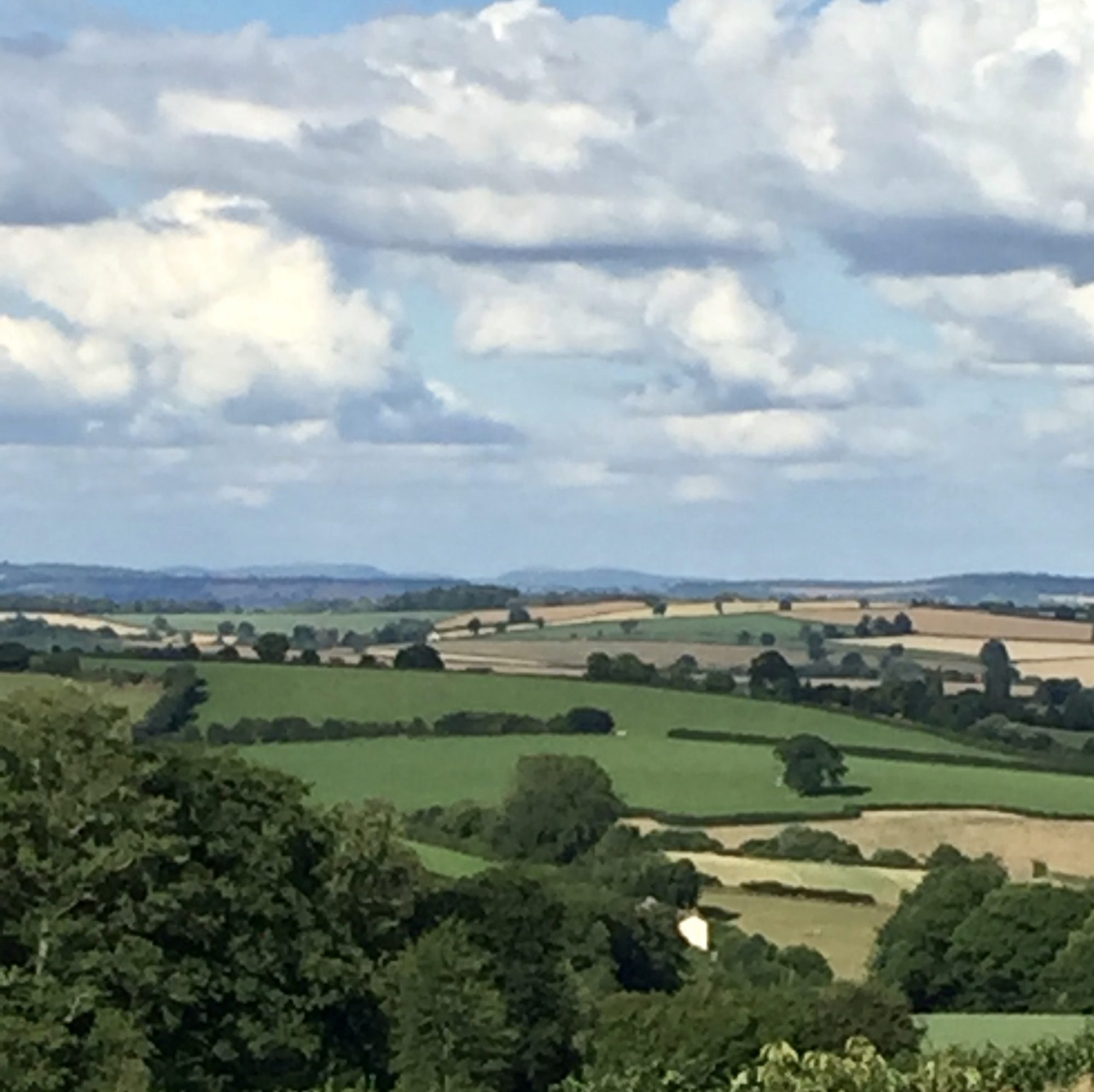 Little Whitelands Farm