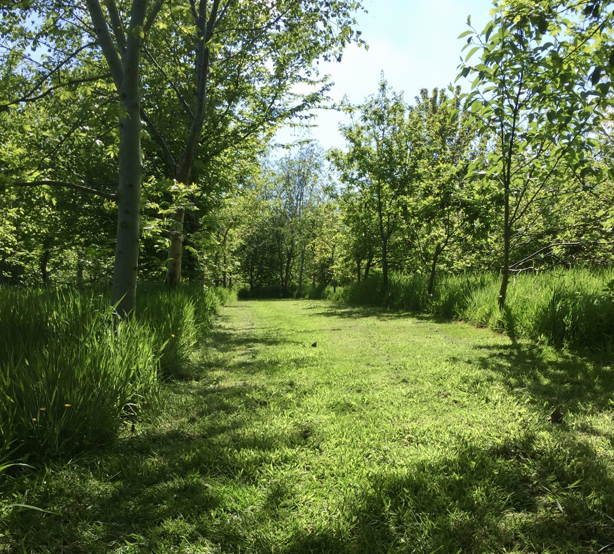 Little Whitelands Farm